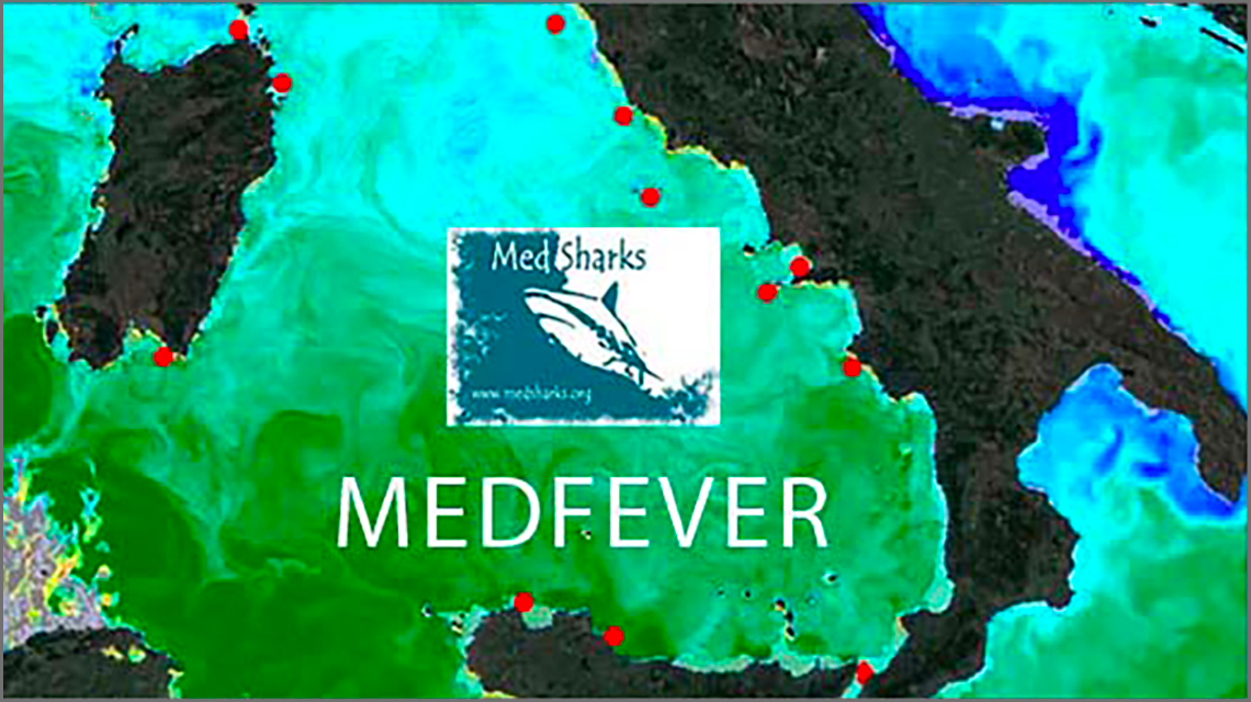 MEDFEVER Project