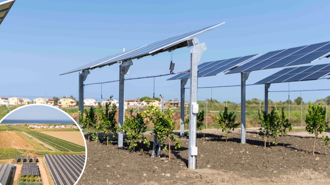 impianto agrivoltaico