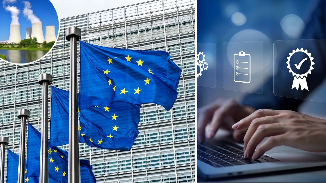 bandiera europea e computer per inserimento dati