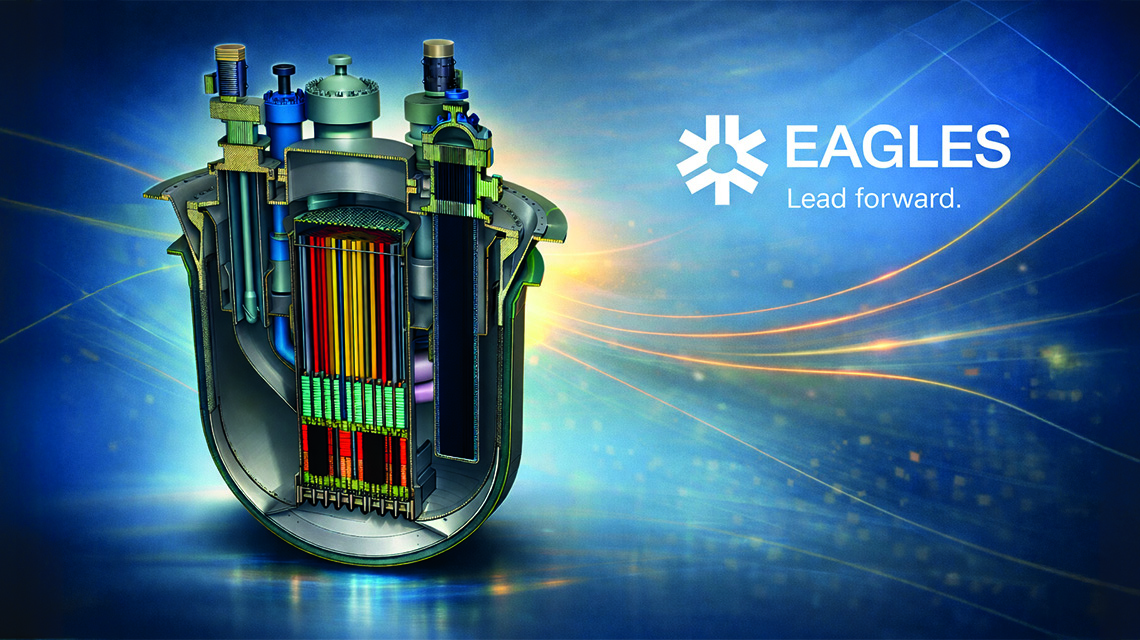 progetto eagles, spaccato di reattore modulare di piccola taglia