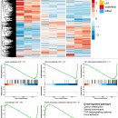 Analisi trascrittomica RNAseq delle cellule SAF-1 trattate con le nanoplastiche di polistirene da 20nm